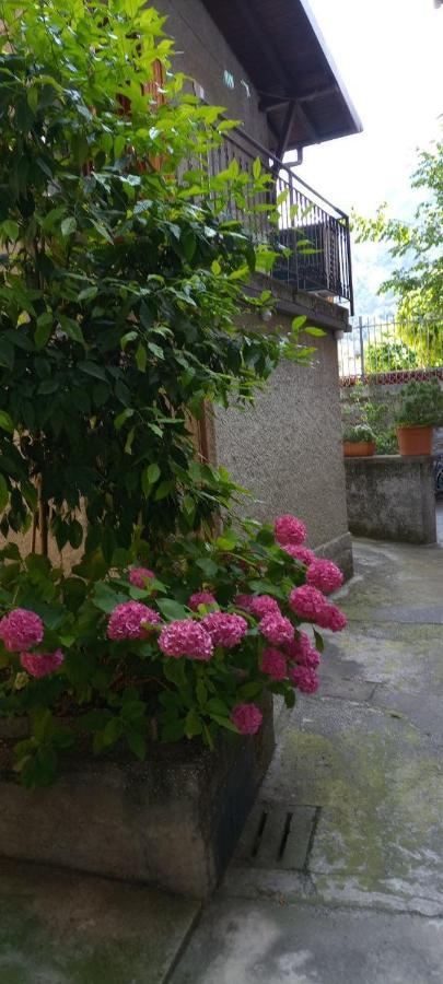 La Casetta Di Vassena Oliveto Lario المظهر الخارجي الصورة